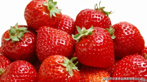 食品品牌營銷策劃公司 以消費者洞察為核心，驅動品牌價值增長